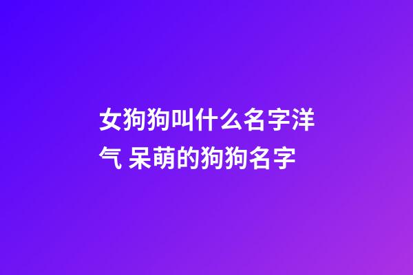 女狗狗叫什么名字洋气 呆萌的狗狗名字